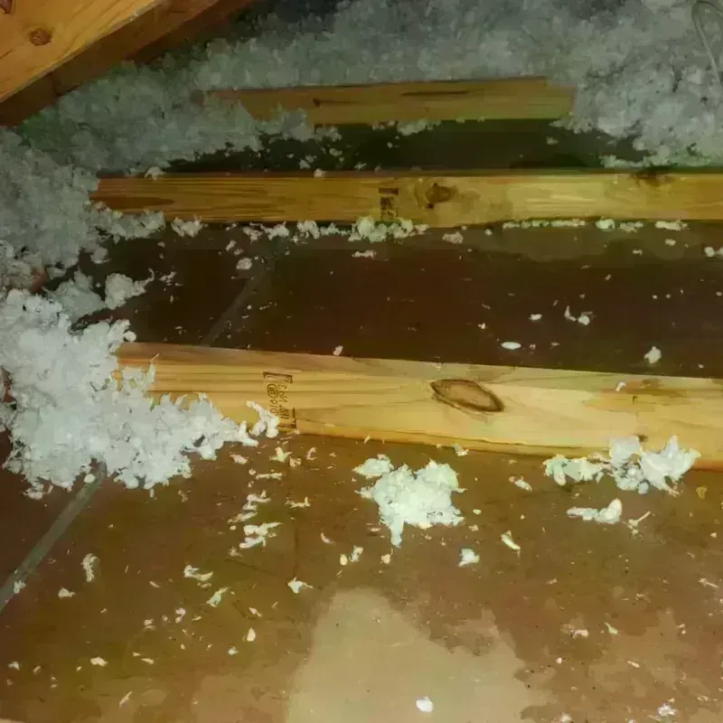 Attic Water Damage in Cooperstown, ND